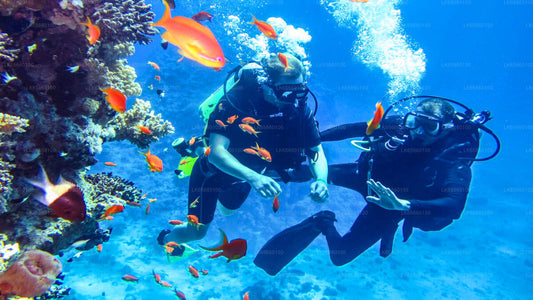 PADI-Zertifikat Open Water Tauchkurs von Bentota
