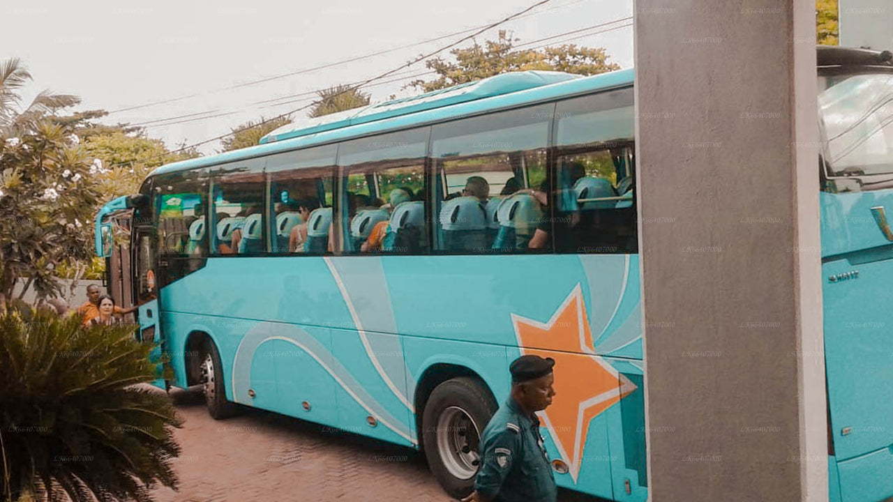 Privater Transfer von Nilaveli City nach Ella City