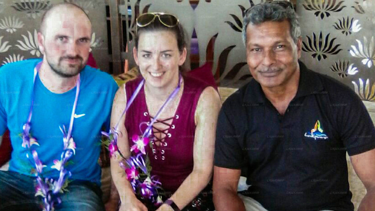 Privater Transfer von Ella City nach Kandy City