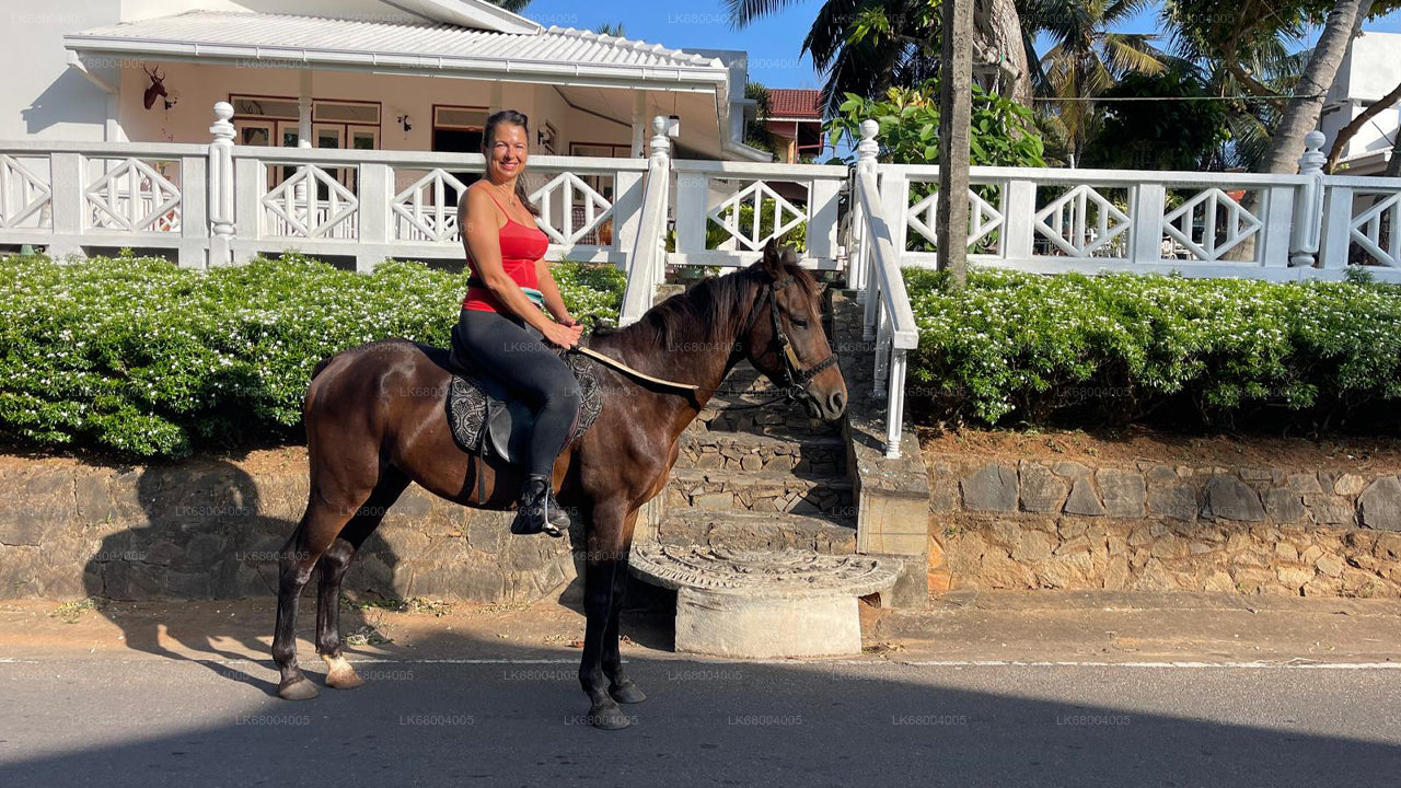 Reiten für Profis aus Negombo