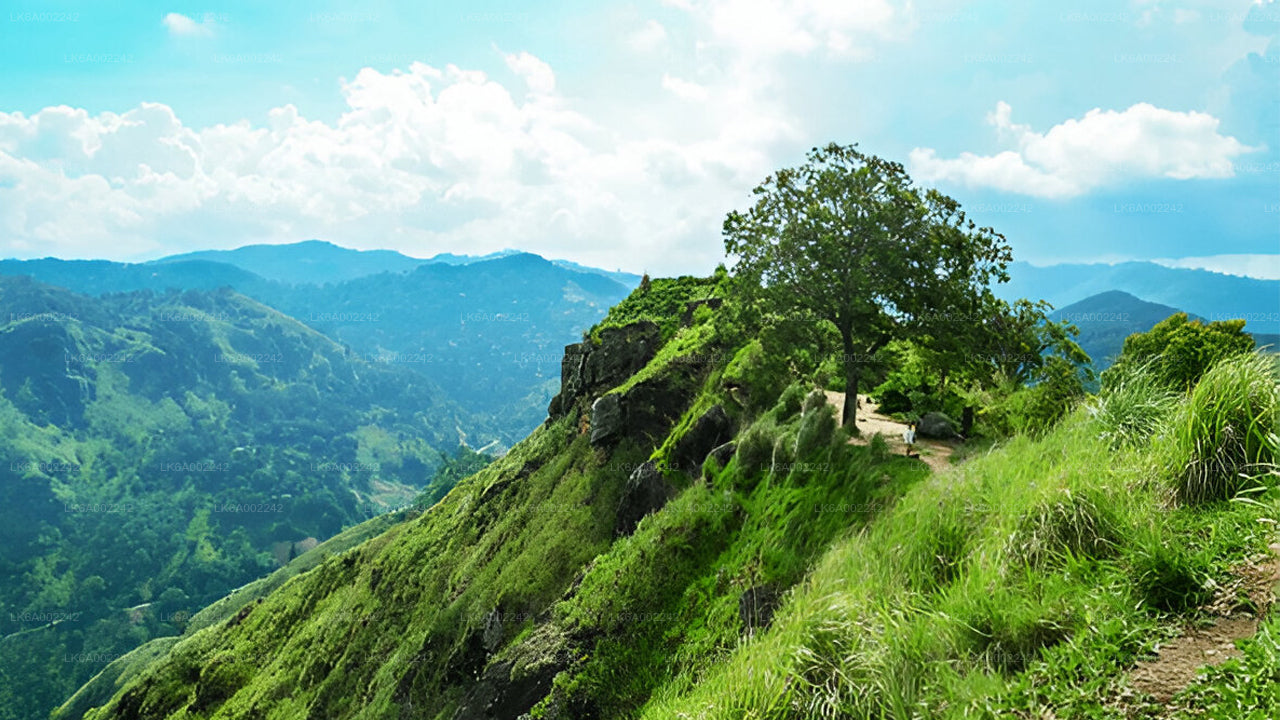 Wanderung und Seilrutschen zum Little Adam's Peak ab Ella