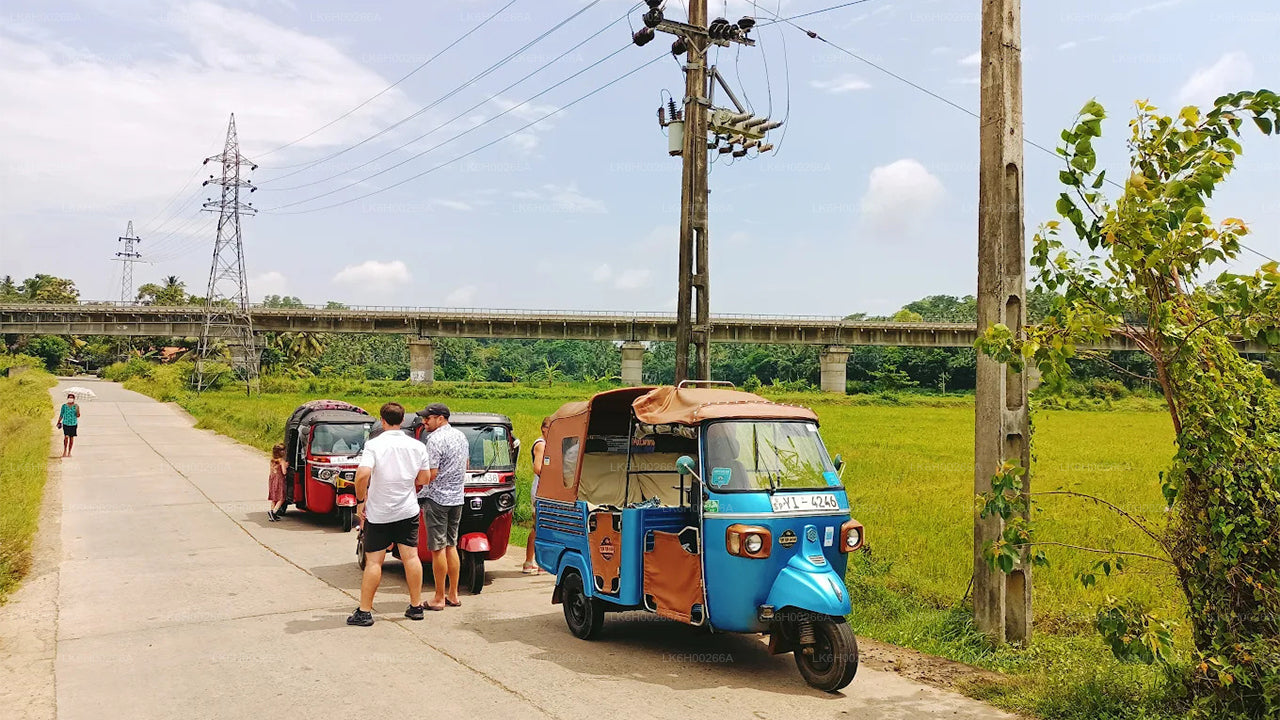 Tuk-Tuk-Safari an der Südküste ab Galle