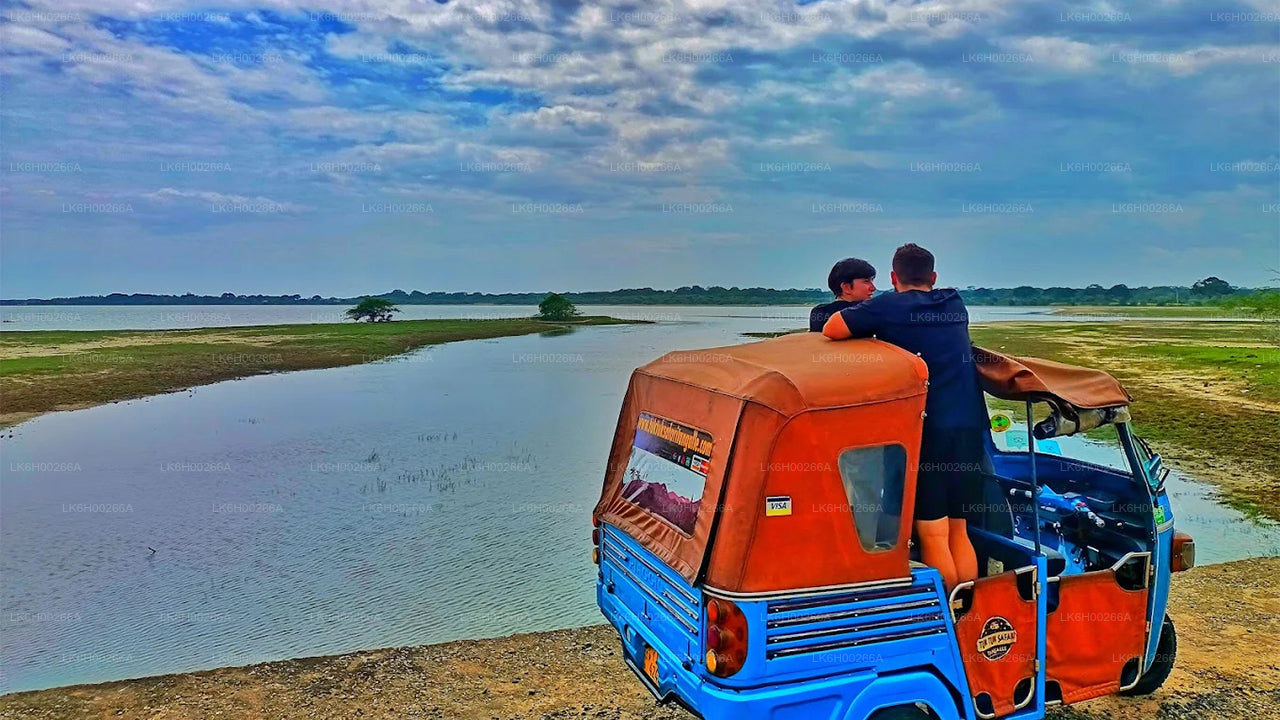 Tuk-Tuk-Safari an der Südküste ab Galle