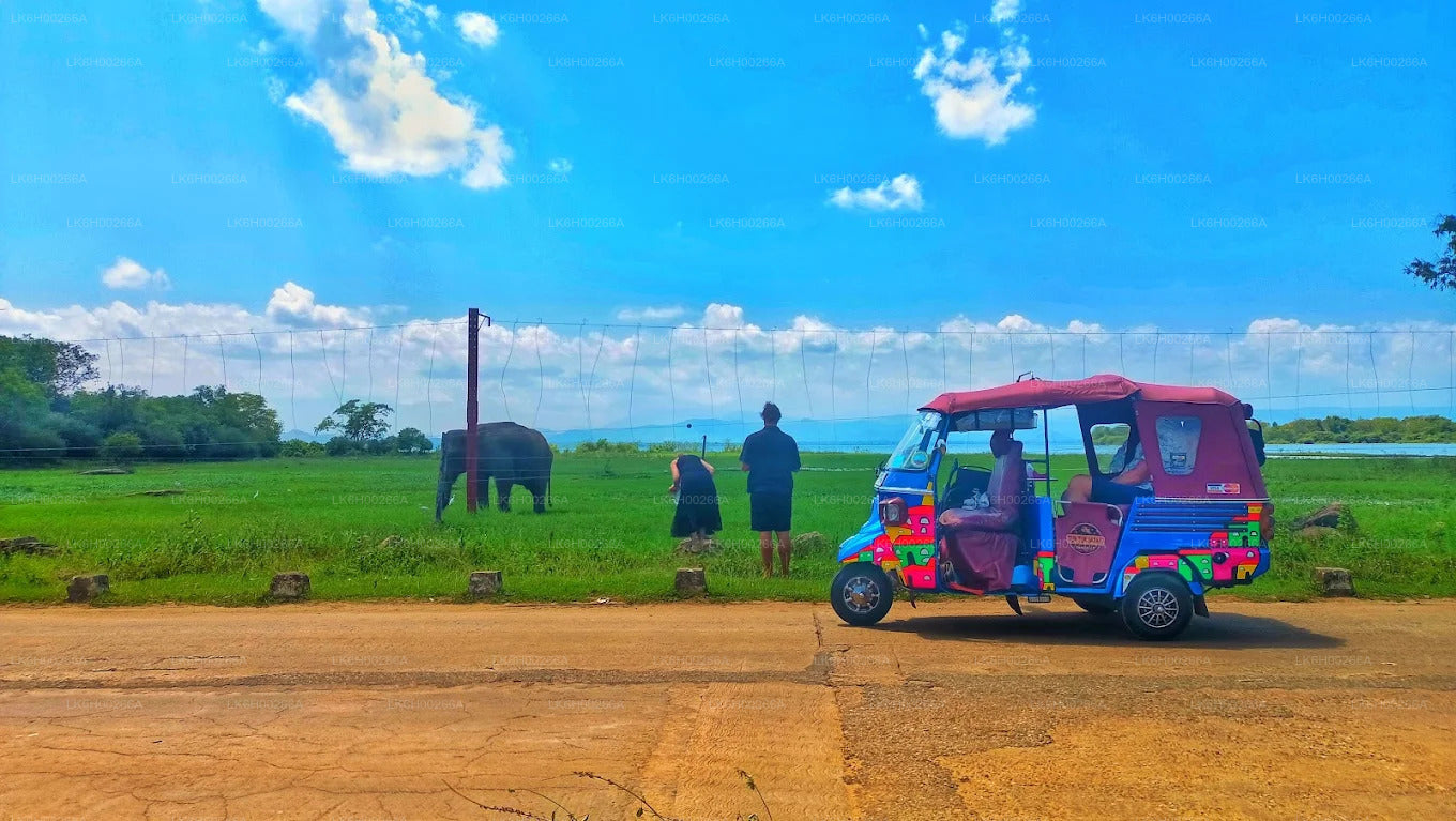 Tuk-Tuk-Safari an der Südküste ab Galle