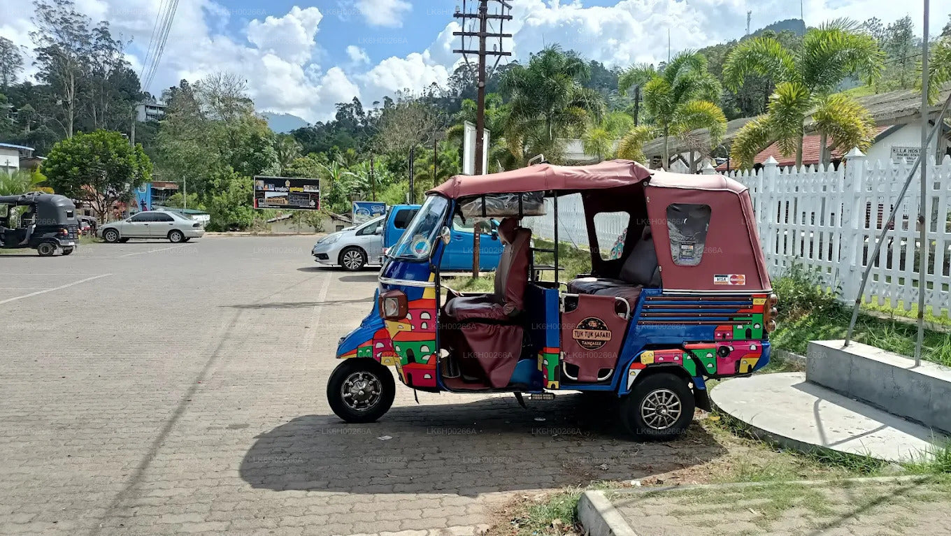 Tuk-Tuk-Safari an der Südküste ab Galle