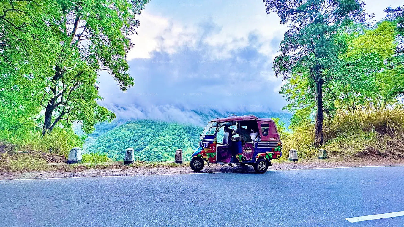 Tuk-Tuk-Safari an der Südküste ab Galle