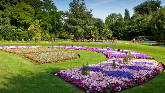 Eintrittskarten für den Botanischen Garten Hakgala