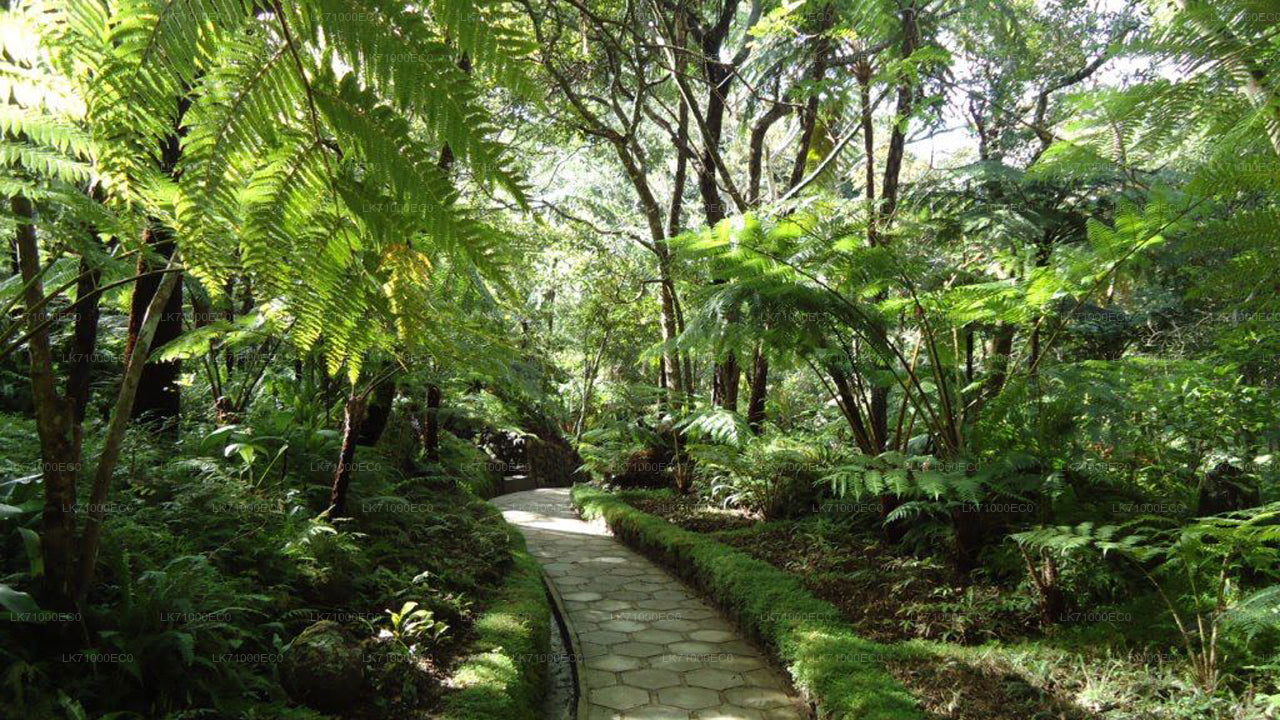 Eintrittskarten für den Botanischen Garten Hakgala