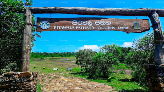 Eintrittskarten für Pitawala Pathana