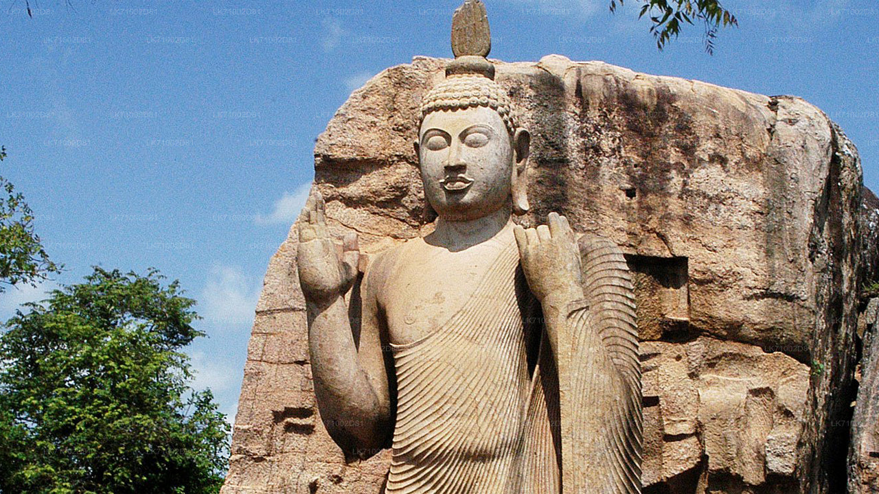 Eintrittskarten für die Avukana-Buddha-Statue