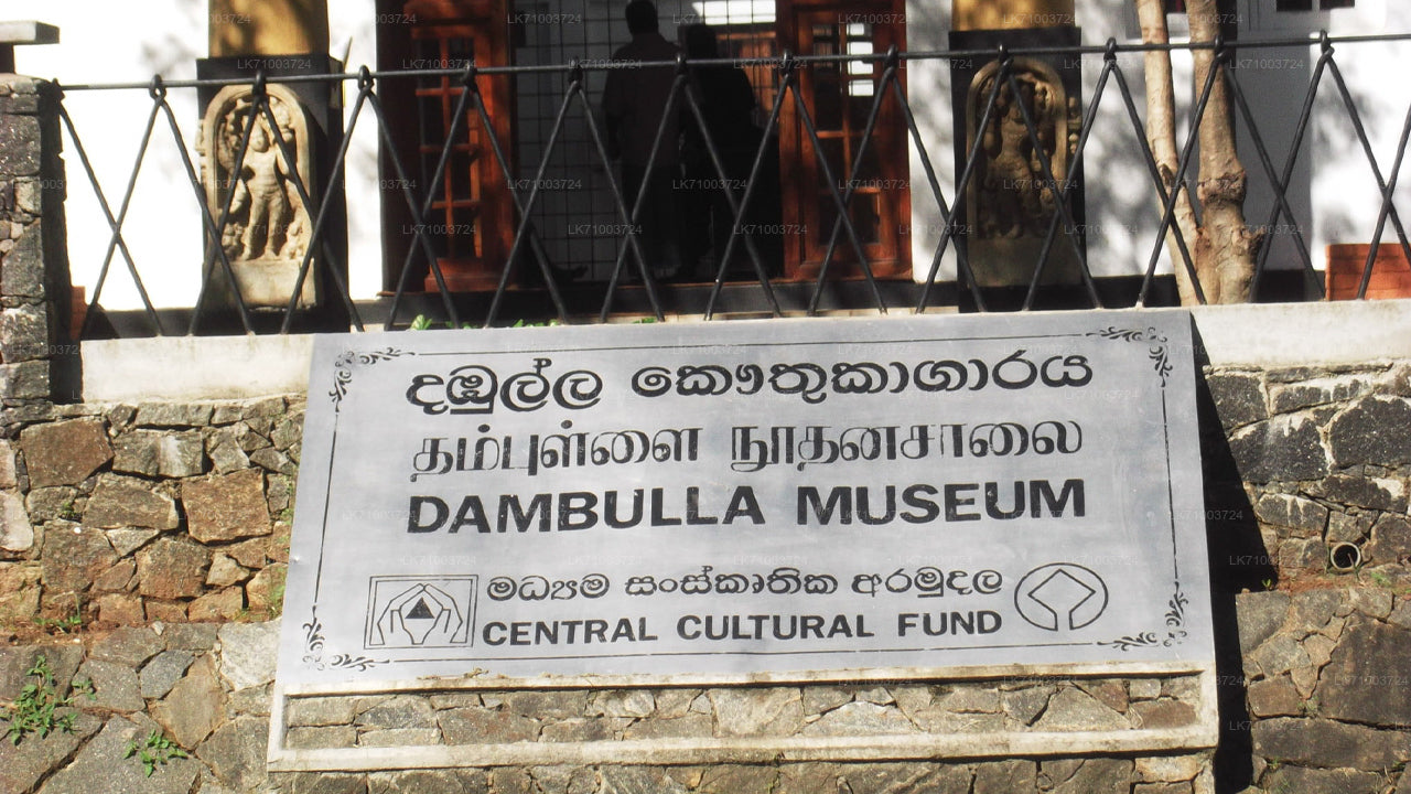 Eintrittskarte für das Dambulla-Museum
