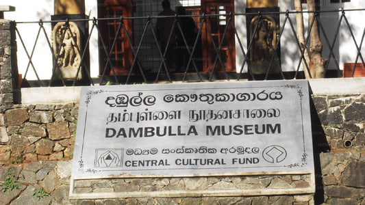 Eintrittskarte für das Dambulla-Museum