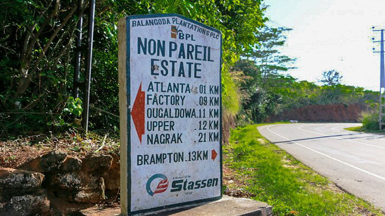 Wandern auf dem Nonpareil Trail