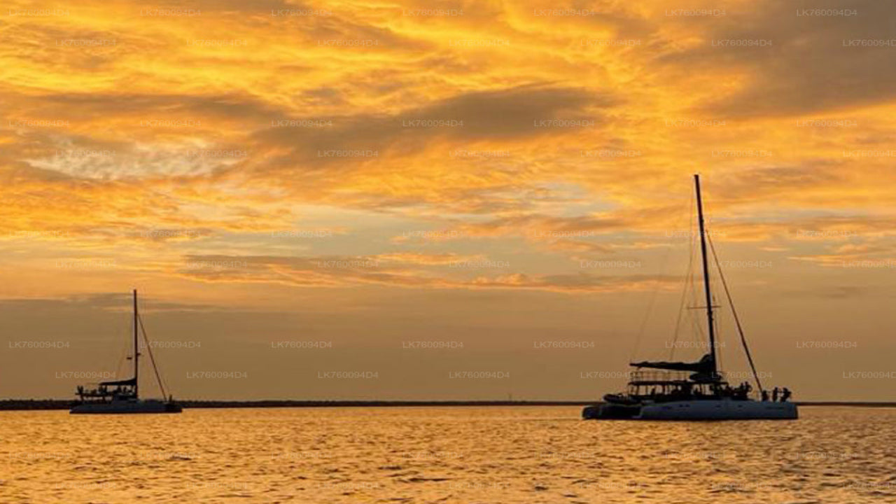 3-stündige private Sonnenuntergangskreuzfahrt ab Mirissa