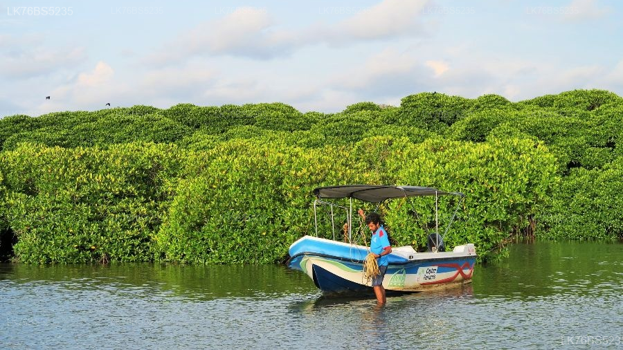 Lagoon Boat Tour from Pasikudah