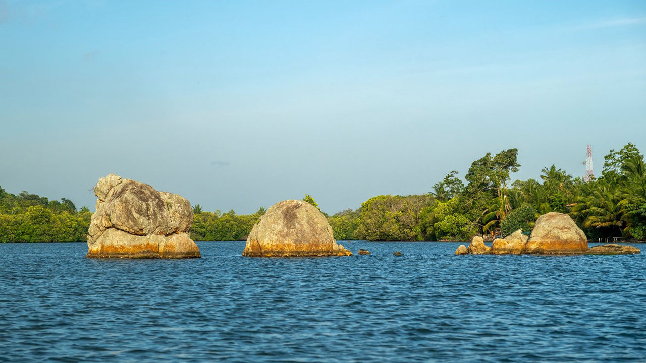 Koggala Lake Kayaking Adventure