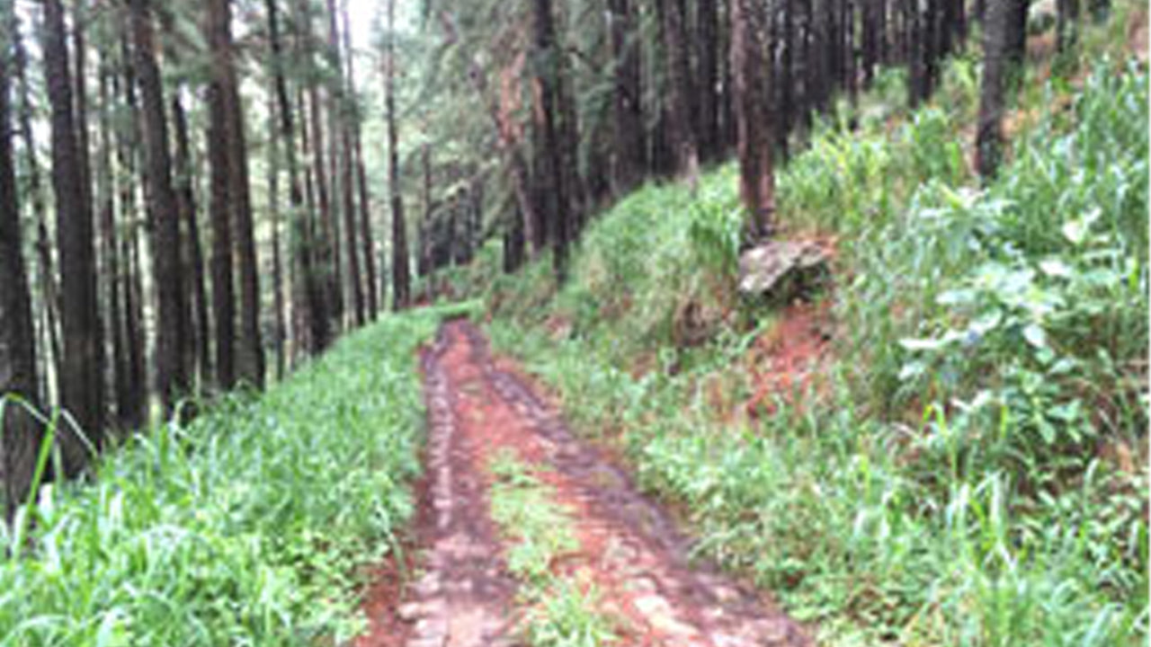 MTB Knuckles East Ride von Kandy