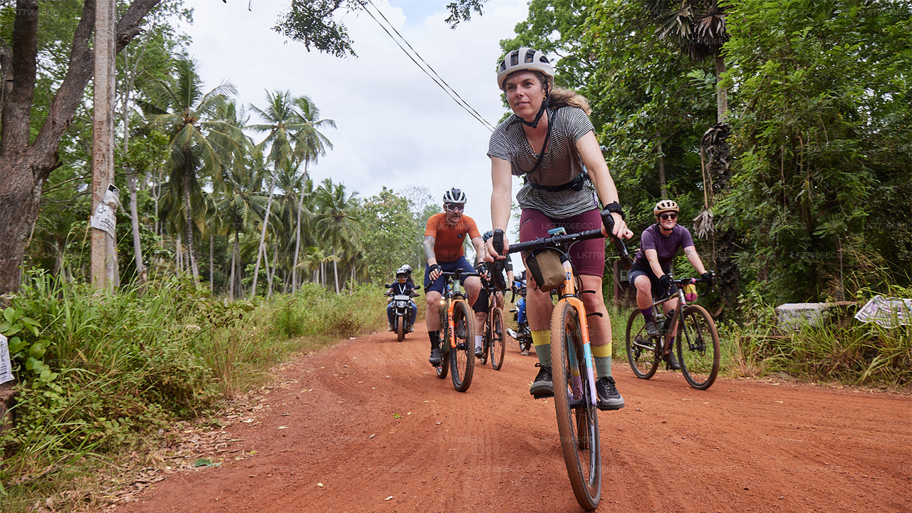 Abenteuer-Mountainbiken ab Kandy