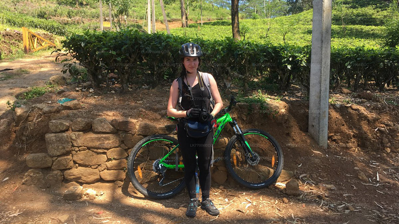Abenteuer-Mountainbiken ab Kandy