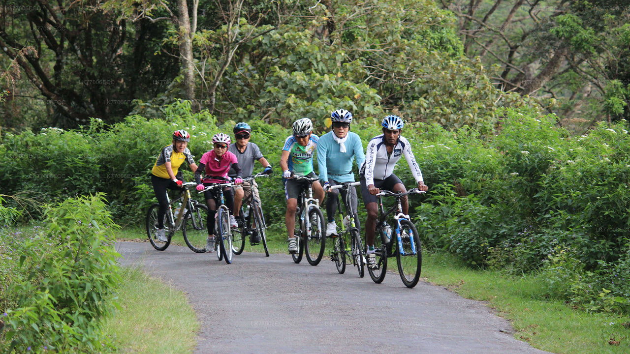 Abenteuer-Mountainbiken ab Kandy