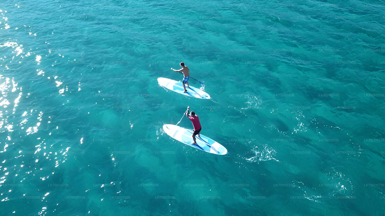2-Nächte-Kreuzfahrturlaub auf der Ocean Diamond ab Trincomalee