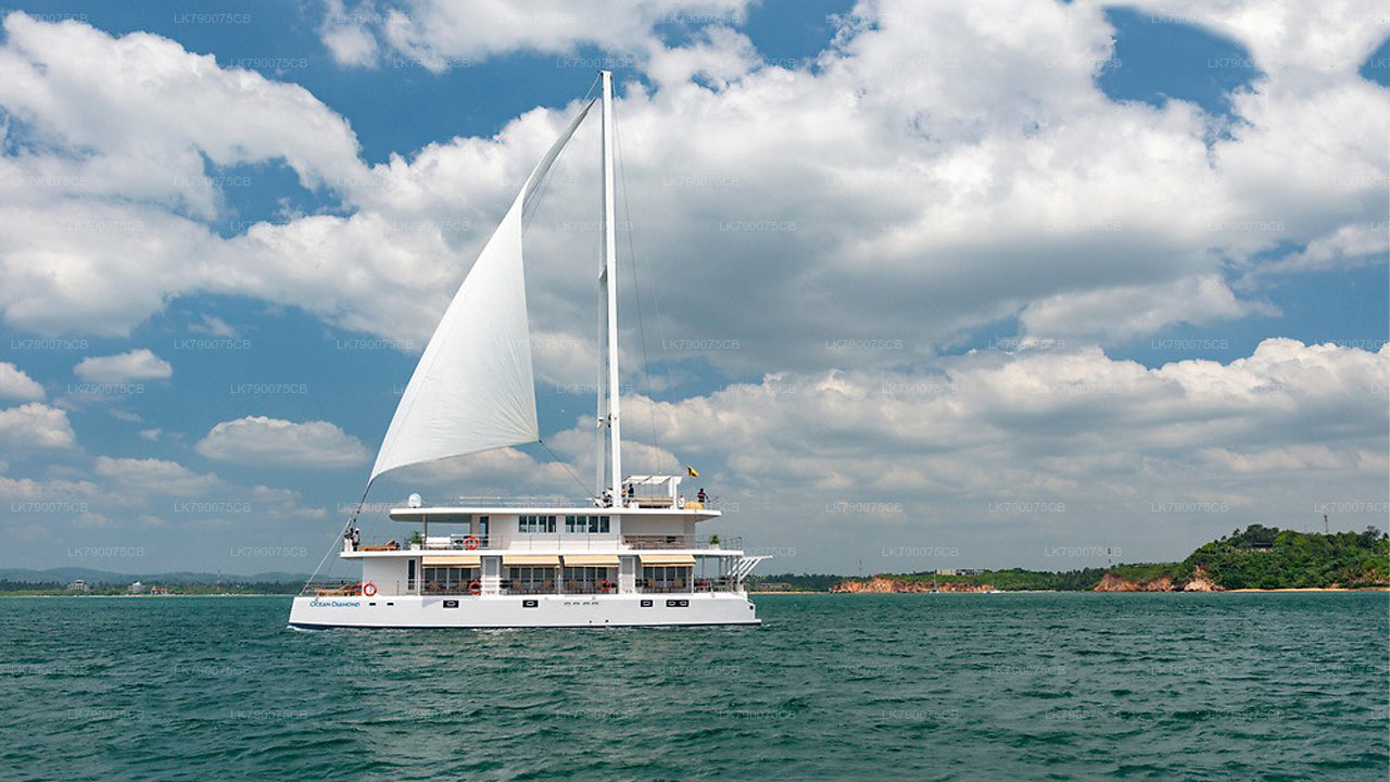 2-Nächte-Kreuzfahrterlebnis ab Mirissa auf der Ocean Diamond