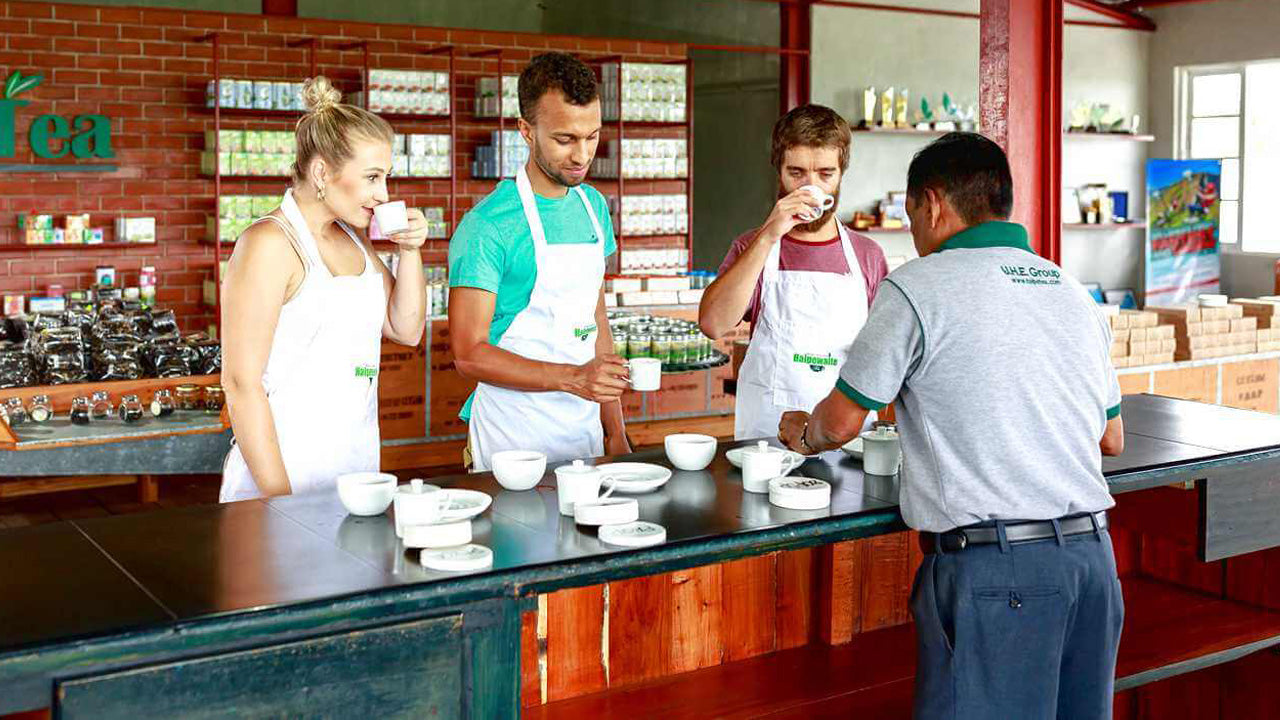 Ceylon-Tee-Verkostung ab Colombo