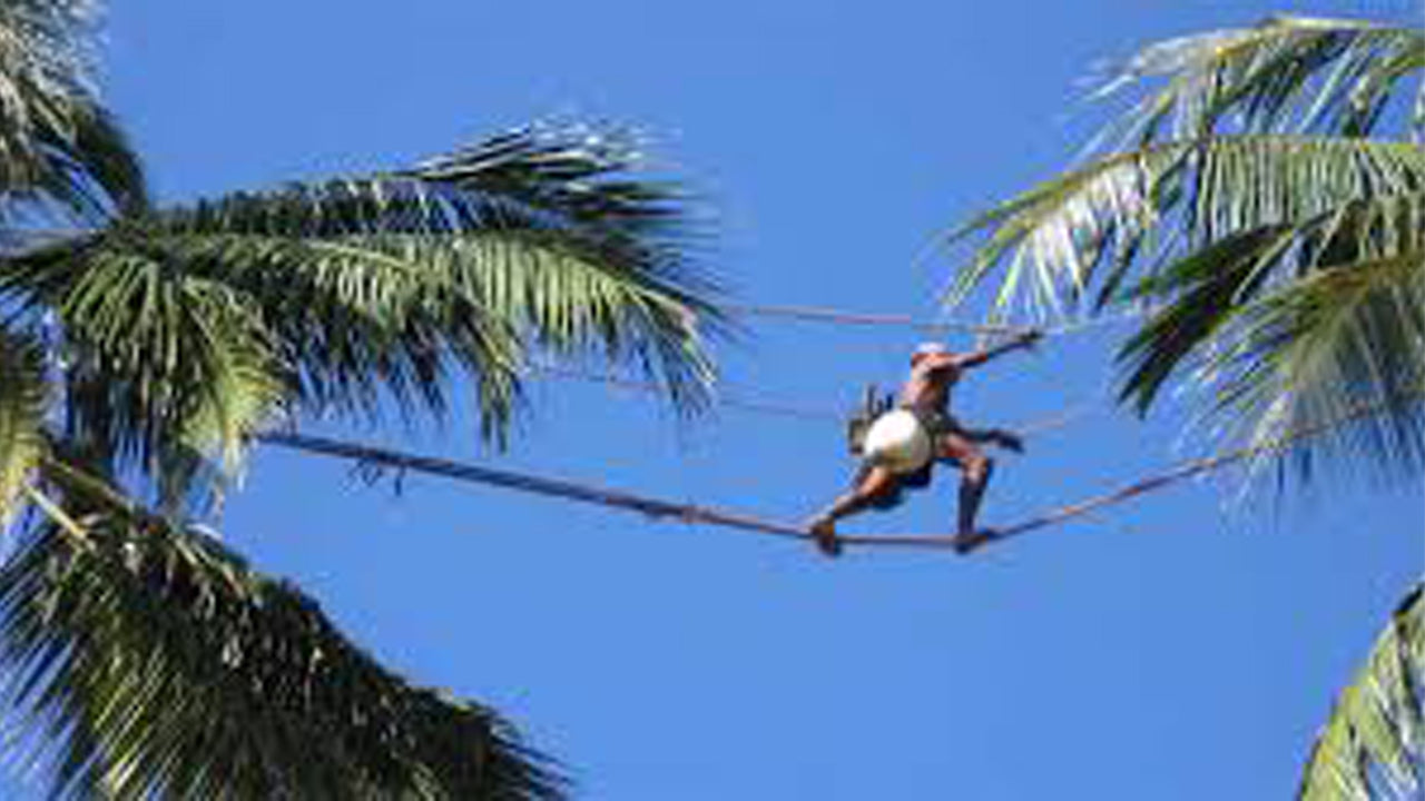 Toddy-Erkundungstour ab Negombo