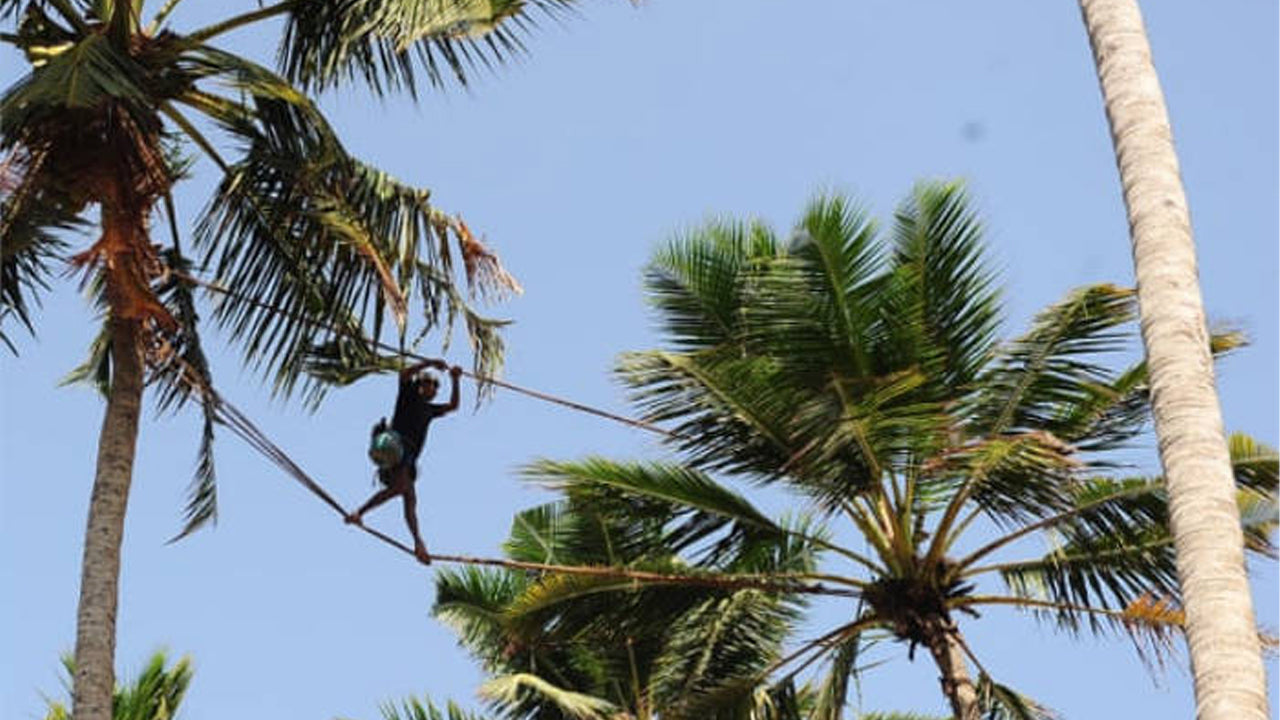 Toddy-Erkundungstour ab Negombo
