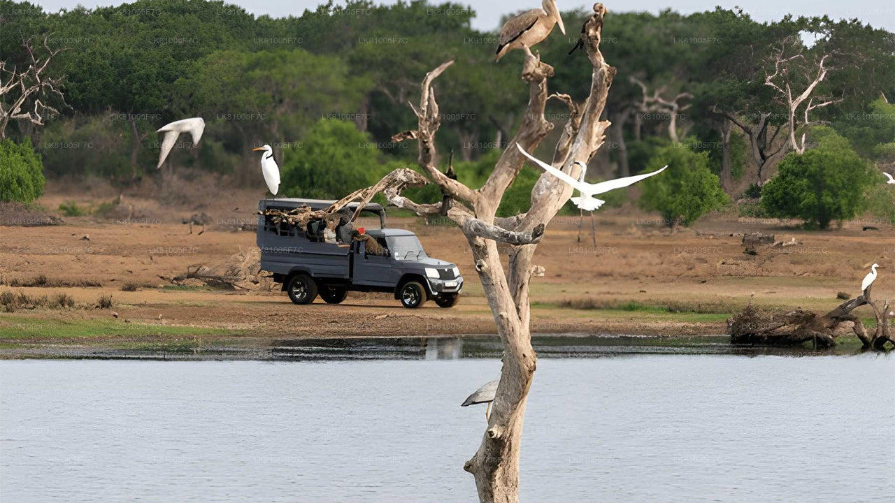 Bundala Nationalpark-Safari ab Hafen von Hambantota