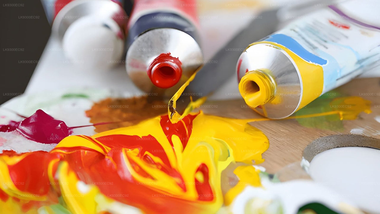 Elephant Painting and Storytelling Experience from Ahangama