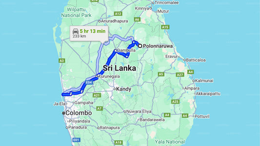 Privater Transfer von Polonnaruwa nach Negombo