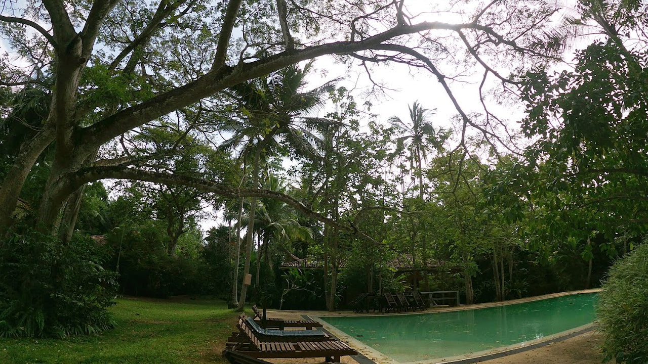 Bungalow Sud, Habaraduwa 