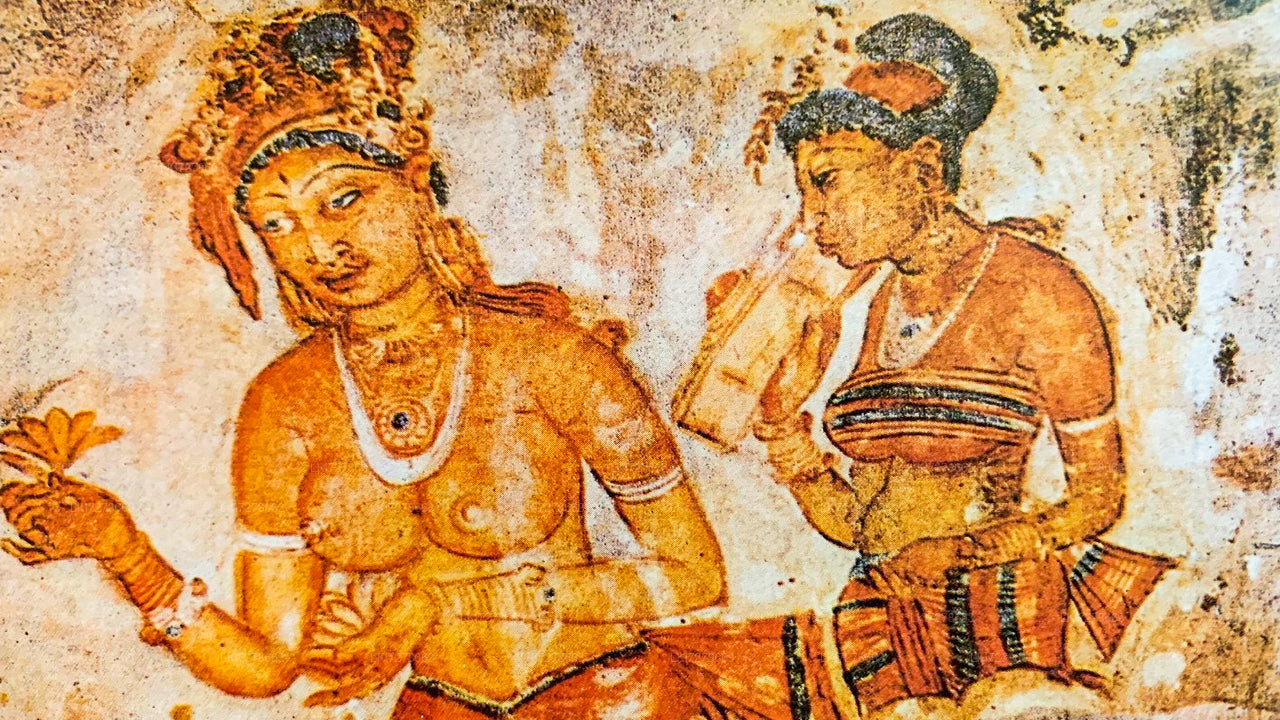 Sigiriya-Felsen, Dambulla und Wildelefanten-Safari ab Colombo