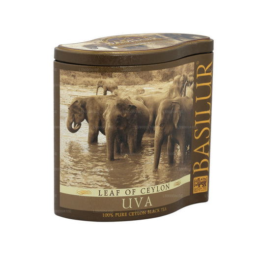 Basilurblatt aus Ceylon „Uva“ (100 g) Caddy