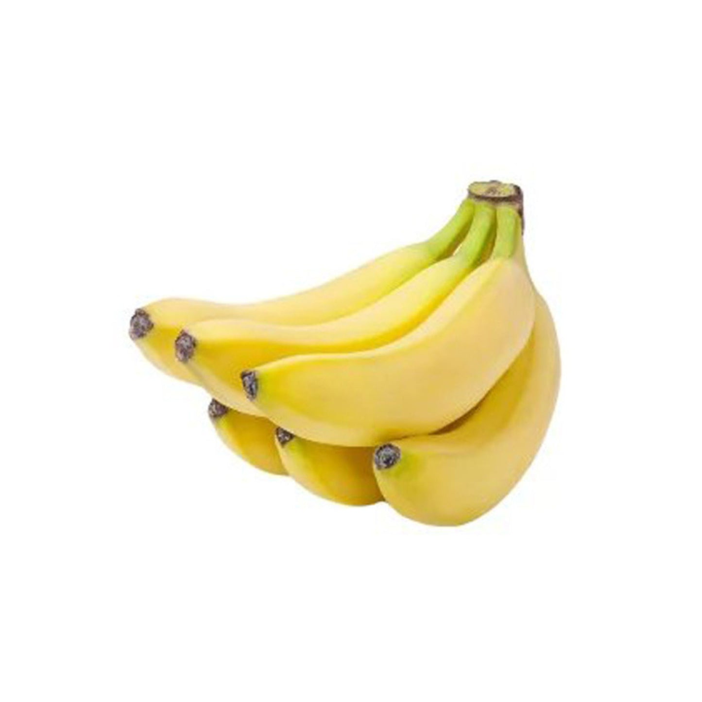 Lakpura Kolikuttu Bananenpflanze