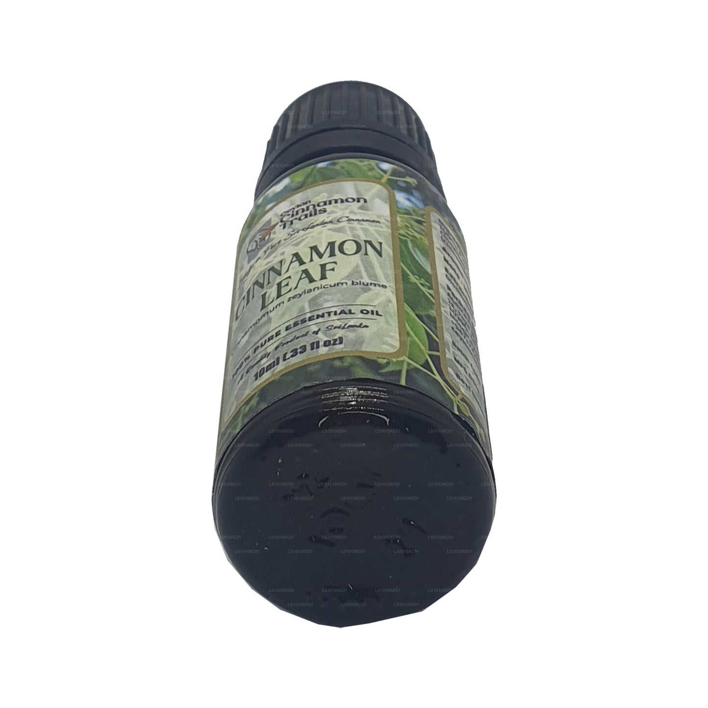 Ätherisches Zimtblattöl von Ceylon Cinnamon Trails (10 ml)