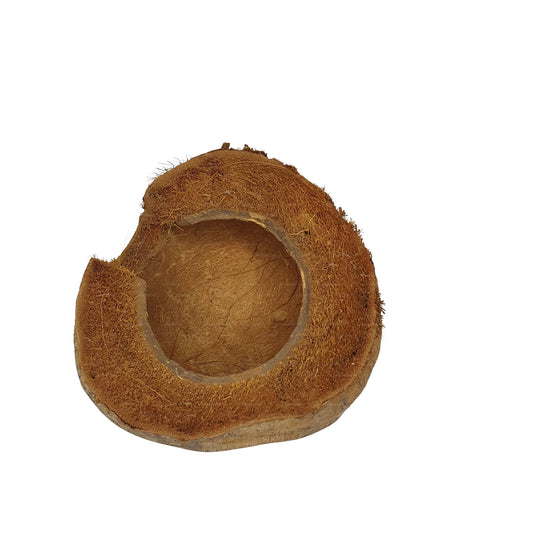 Bivenro Natural 3/4 Kakaoversteck mit Schalenmotiv (freie Größe)