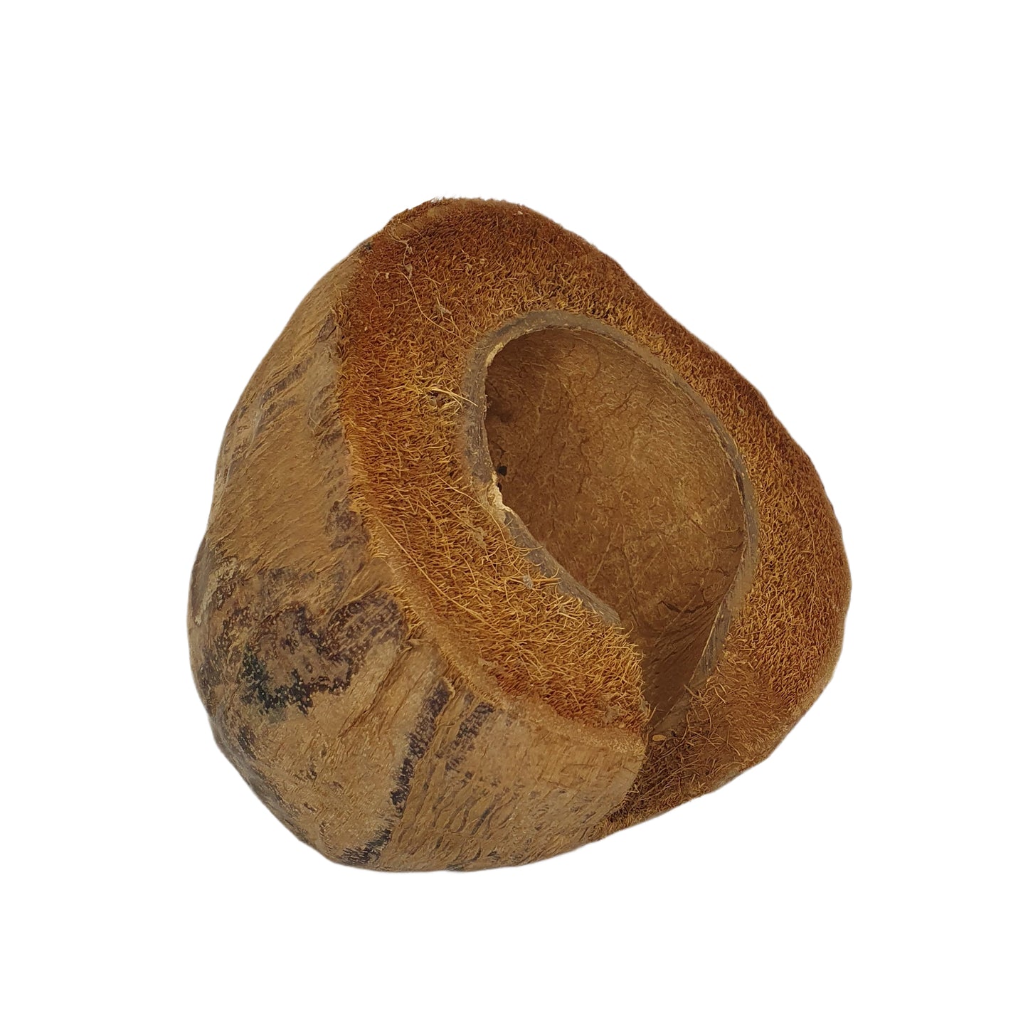 Bivenro Natural 3/4 Kakaoversteck mit Schalenmotiv (freie Größe)