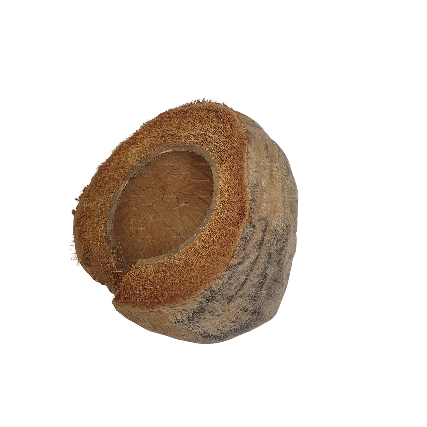 Bivenro Natural 3/4 Kakaoversteck mit Schalenmotiv (freie Größe)