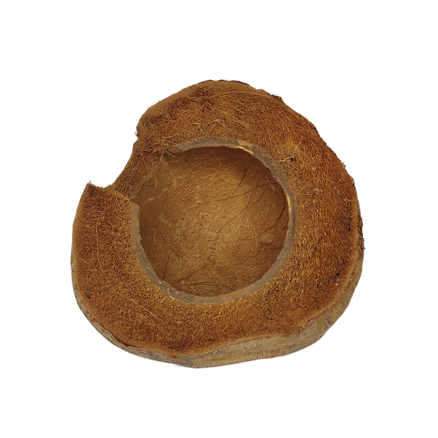 Bivenro Natural 3/4 Kakaoversteck mit Schalenmotiv (freie Größe)