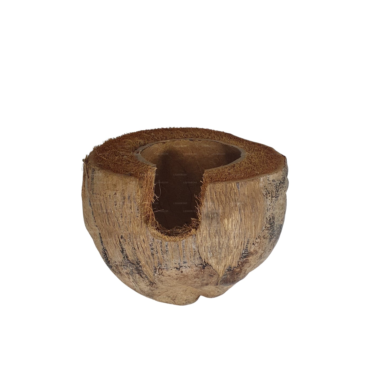 Bivenro Natural 3/4 Kakaoversteck mit Schalenmotiv (freie Größe)