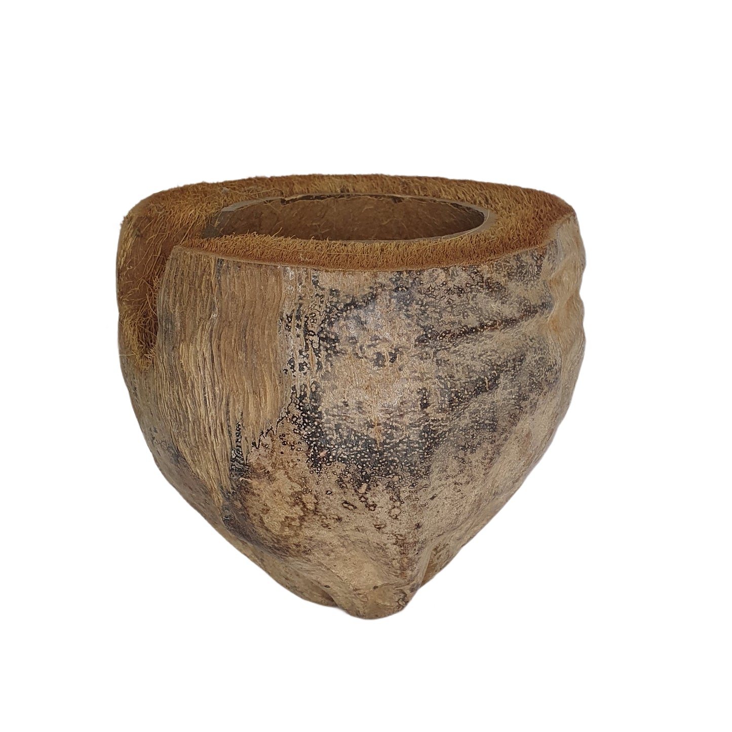 Bivenro Natural 3/4 Kakaoversteck mit Schalenmotiv (freie Größe)