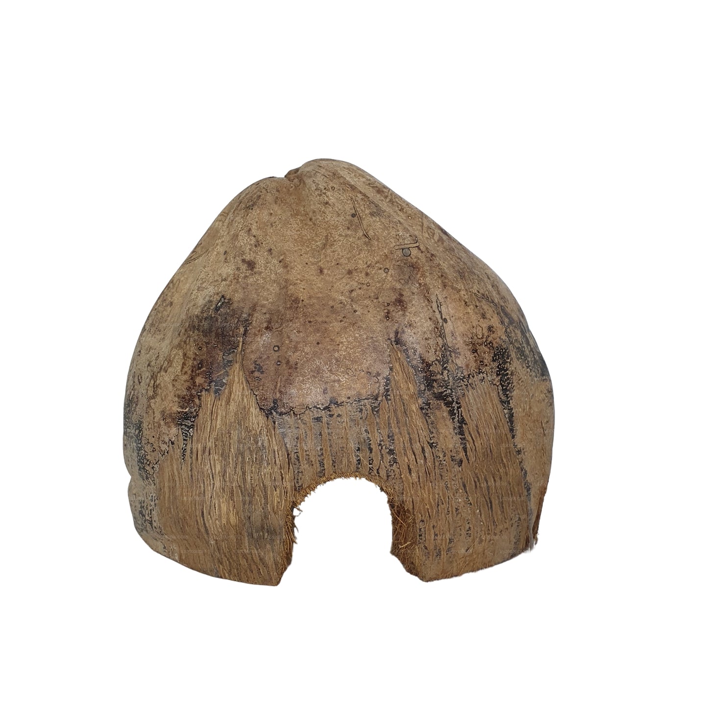 Bivenro Natural 3/4 Kakaoversteck mit Schalenmotiv (freie Größe)