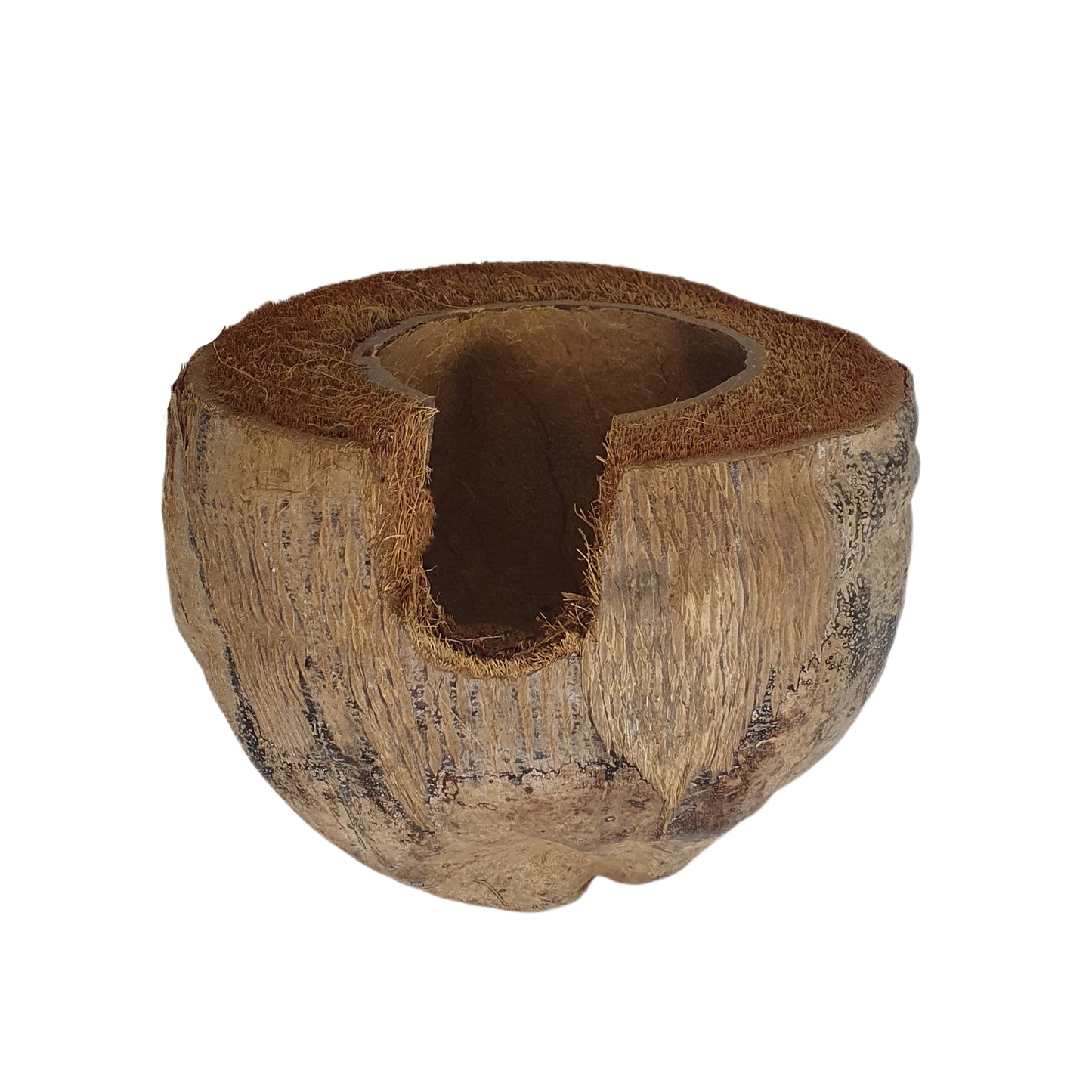 Bivenro Natural 3/4 Kakaoversteck mit Schalenmotiv (freie Größe)