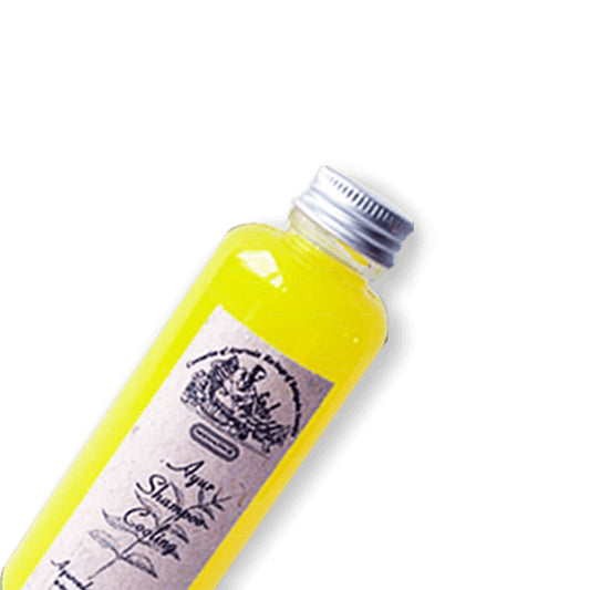 Siddhalepa Ayur Shampoo - Kühlend (200g)