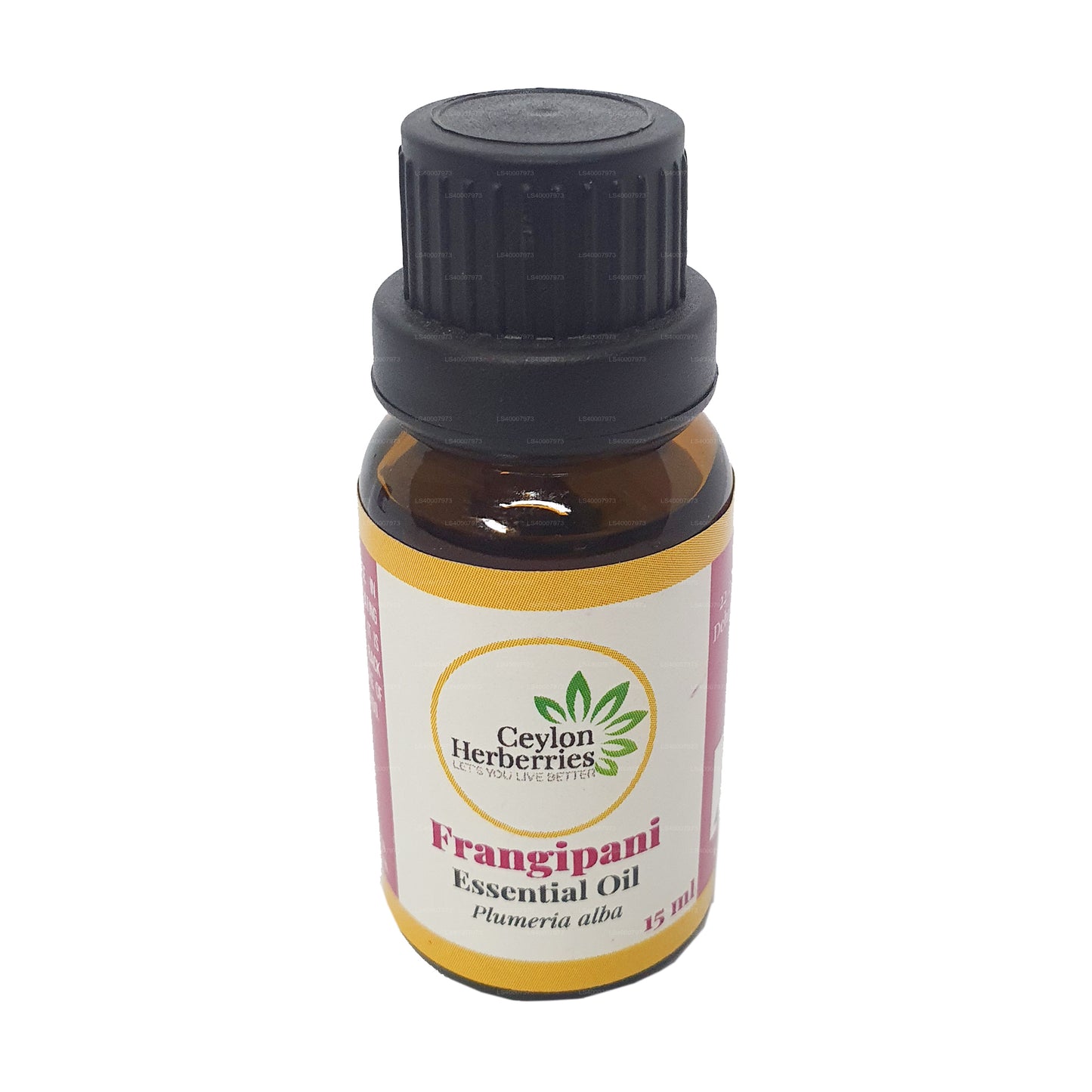 Ätherisches Öl aus Ceylon Herberries Frangipani (Plumeria alba) 15 ml