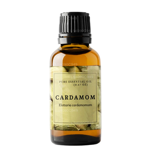 Lakpura Ätherisches Kardamomöl (15 ml)