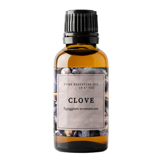 Ätherisches Lakpura-Nelkenöl (15 ml)