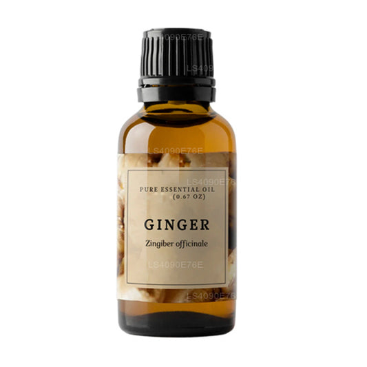 Lakpura Ätherisches Ingweröl (15 ml)